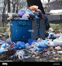 Professional Junk Removal Services in Steamboat Springs, CO