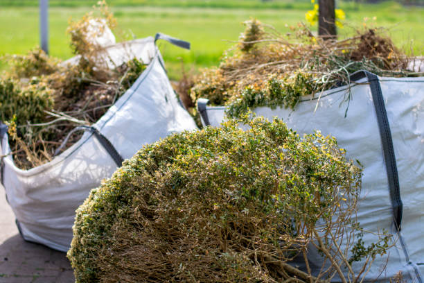 Demolition Debris Removal in Steamboat Springs, CO